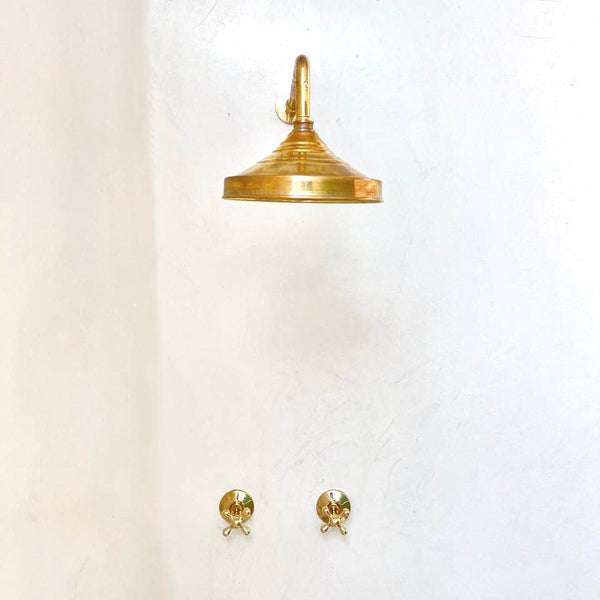 Unlacquered Brass Shower System — Round Showerhead & Straight Arm
