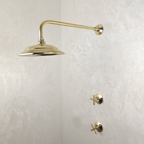 Unlacquered Brass Shower System — Classic Dome Showerhead